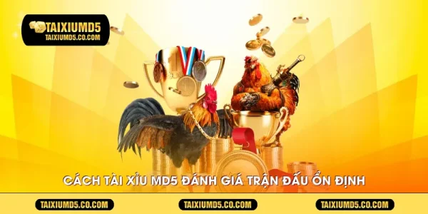 Cách tài xỉu MD5 đánh giá luồng phát trận đấu ổn định