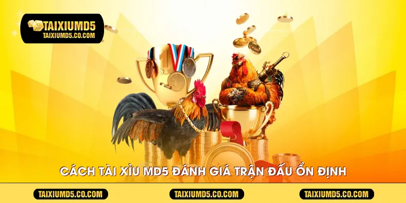 Cách tài xỉu MD5 đánh giá luồng phát trận đấu ổn định