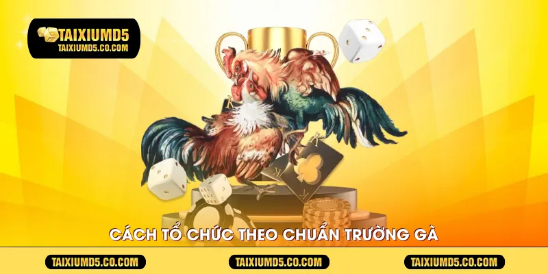 Cách tổ chức theo chuẩn trường gà