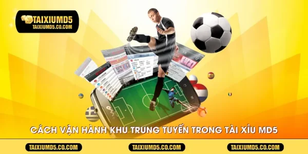Cách vận hành khu trung tuyến trong Tài Xỉu MD5