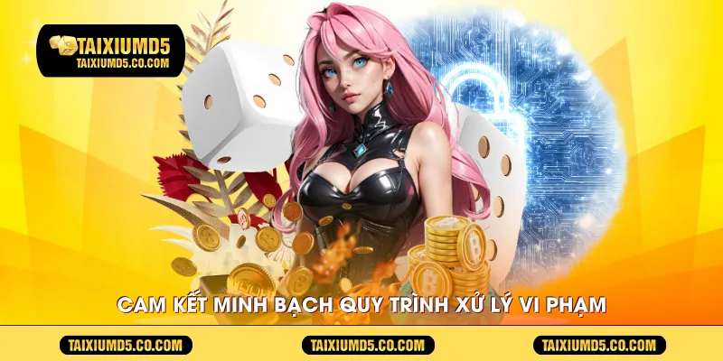 Cam kết minh bạch quy trình xử lý vi phạm