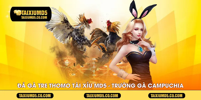 da-ga-tre-thomo-tai-xiu-md5---truong-ga-campuchia
