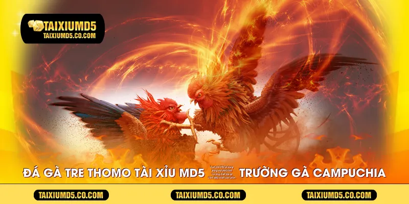 da-ga-tre-thomo-tai-xiu-md5--truong-ga-campuchia