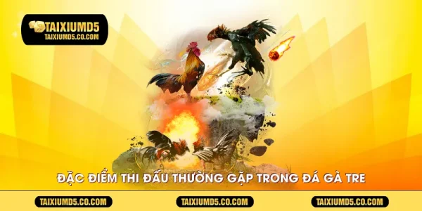 Đặc điểm thi đấu thường gặp trong đá gà tre