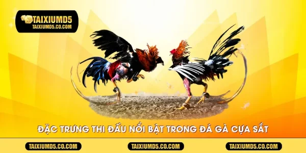 Đặc trưng thi đấu nổi bật trong đá gà cựa sắt