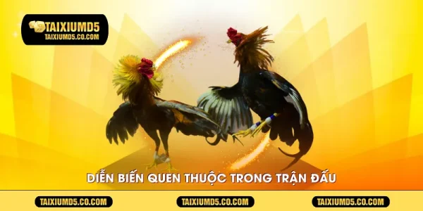 Diễn biến quen thuộc trong trận đấu