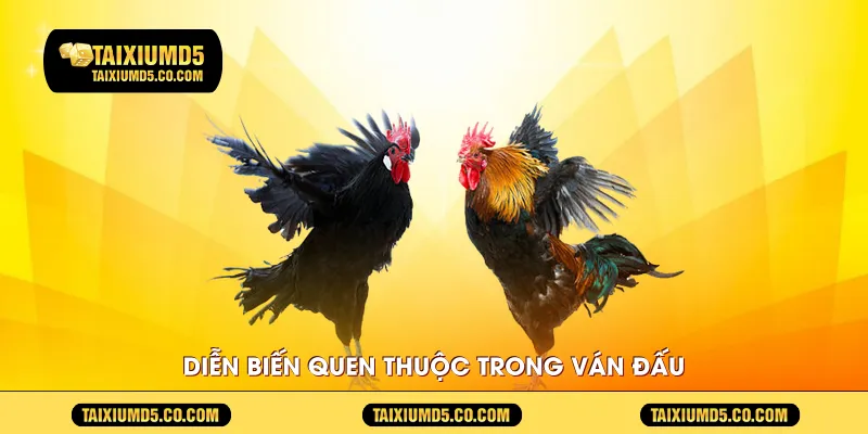 Diễn biến quen thuộc trong ván đấu