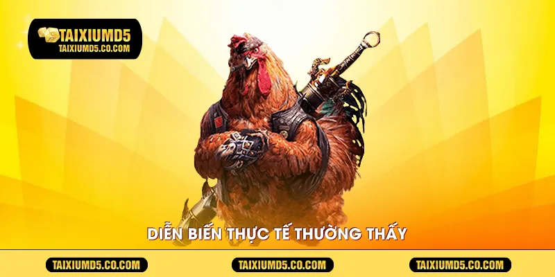 Diễn biến thực tế thường thấy