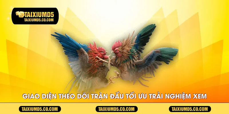 Giao diện theo dõi trận đấu tối ưu trải nghiệm xem