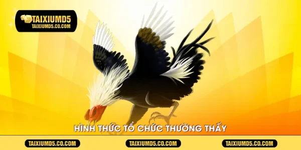 Hình thức tổ chức thường thấy