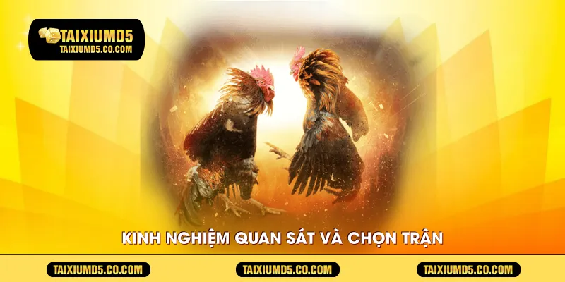 Kinh nghiệm quan sát và chọn trận