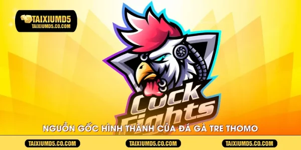 Nguồn gốc hình thành của đá gà tre Thomo