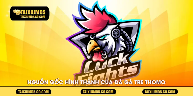 Nguồn gốc hình thành của đá gà tre Thomo