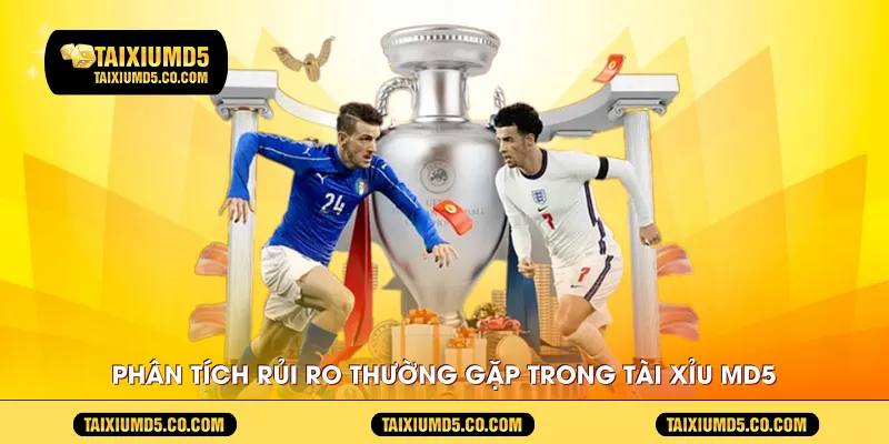 Phân tích rủi ro thường gặp trong Tài Xỉu MD5