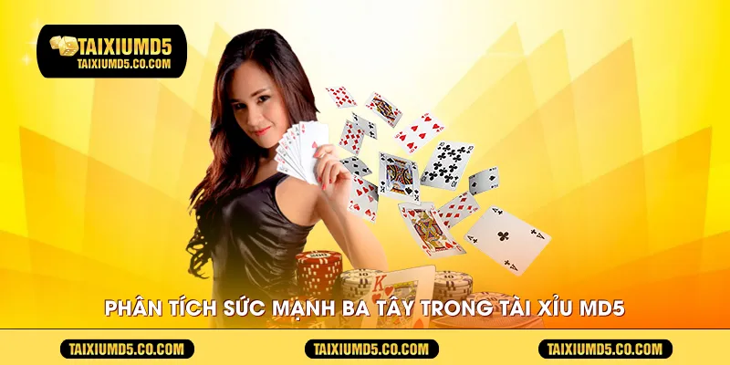 Phân tích sức mạnh ba tây trong Tài Xỉu MD5