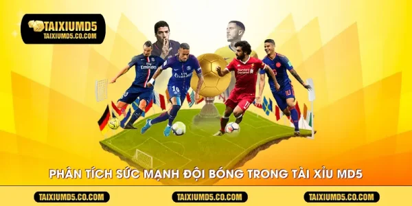Phân tích sức mạnh đội bóng trong Tài Xỉu MD5