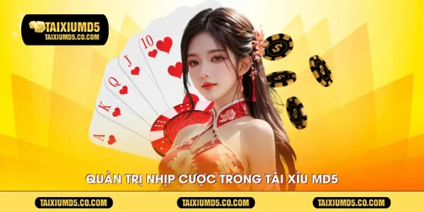 Quản trị nhịp cược trong Tài Xỉu MD5
