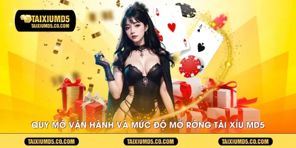 Quy mô vận hành và mức độ mở rộng Tài Xỉu MD5