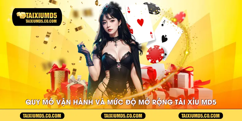 Quy mô vận hành và mức độ mở rộng Tài Xỉu MD5