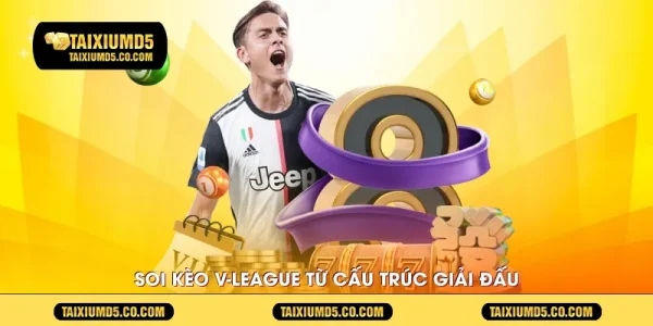 Soi kèo v-league từ cấu trúc giải đấu