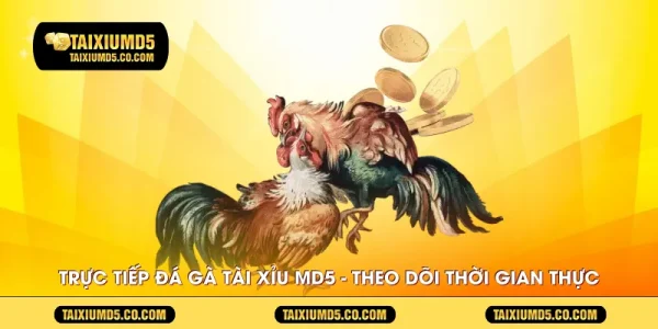 truc-tiep-da-ga-tai-xiu-md5---theo-doi-thoi-gian-thuc