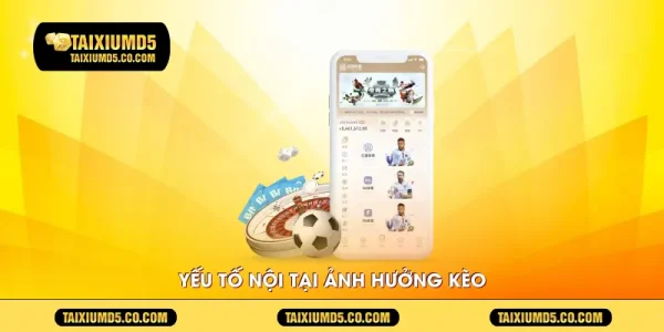 Yếu tố nội tại ảnh hưởng kèo 